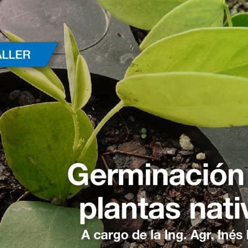 Taller sobre Germinación de plantas nativas