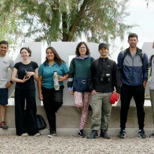 Relevamiento de aves en el Parque La Lombardía de Tunuyán