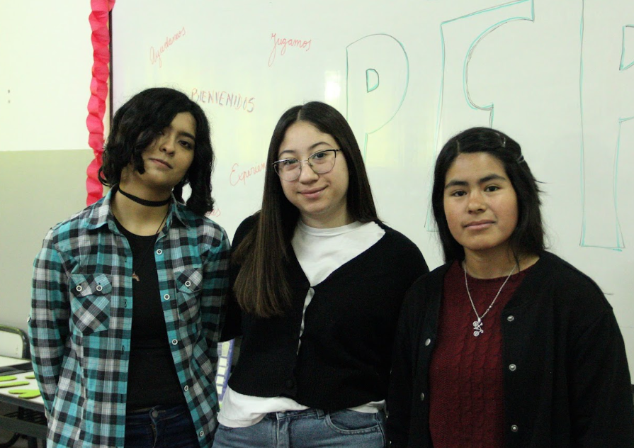 Actividades del Profesorado de Educación Primaria